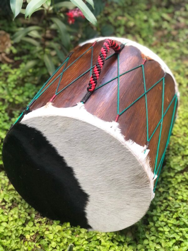 Treme Terra (40x40cm) - Imagem 5