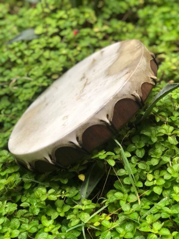 Lakotito (5x30cm) - Imagem 6