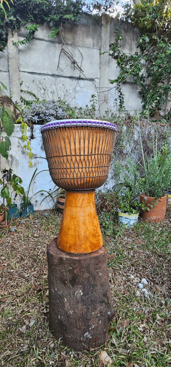 Djembe - Imagem 10