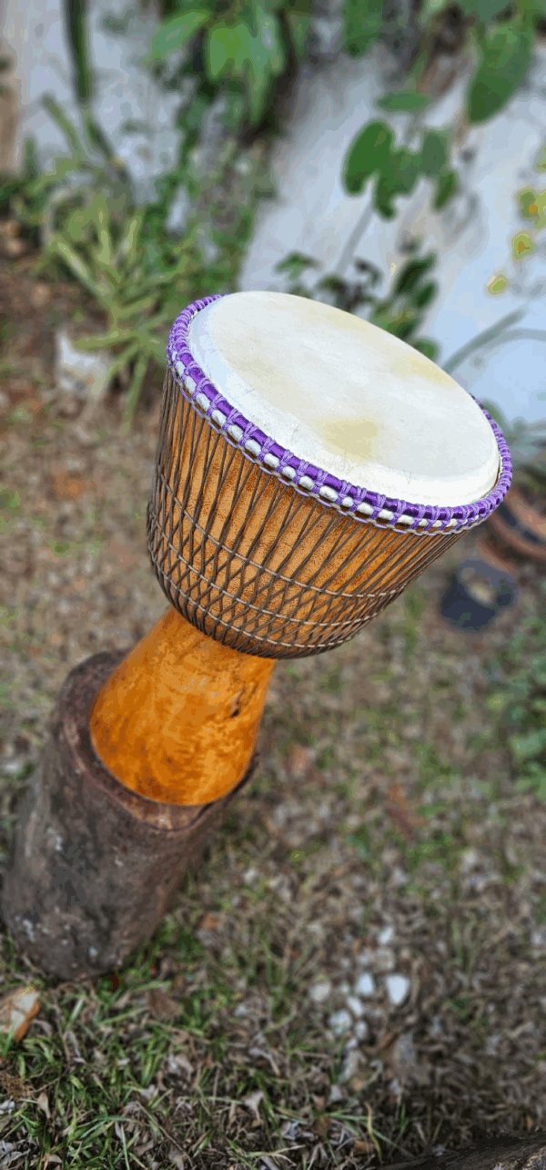 Djembe - Imagem 9